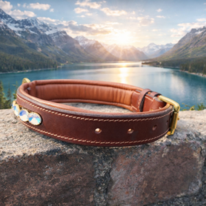 Dog Collar (10)