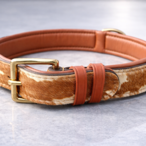 Dog Collar (11)