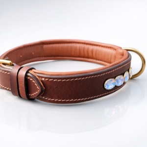 Dog Collar (13)
