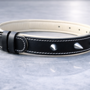 Dog Collar (15)