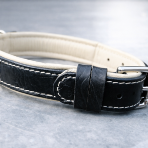 Dog Collar (18)