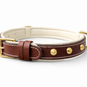 Dog Collar (19)
