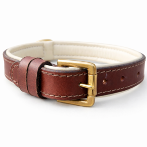 Dog Collar (20)