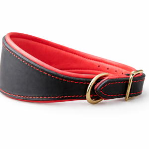 Dog Collar (22)