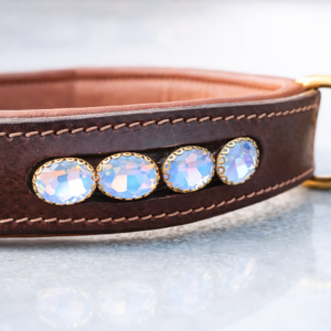 Dog Collar (23)