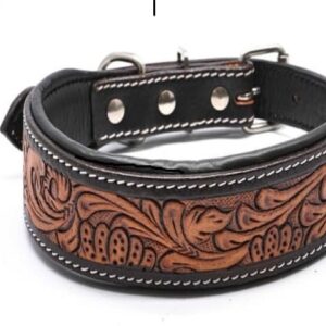 Dog Collar (26)
