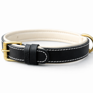 Dog Collar (04)