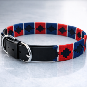 Dog Collar (06)
