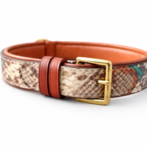 Dog Collar (07)