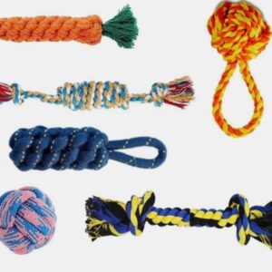 Dog Toys