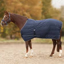Horse Rugs