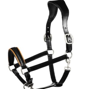 Leather Halters (02)