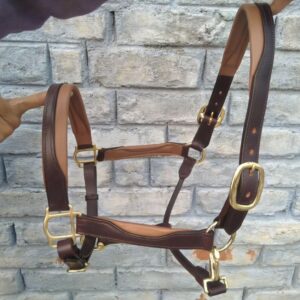 Leather Halters (01)