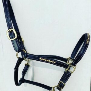 Leather Halters (04)