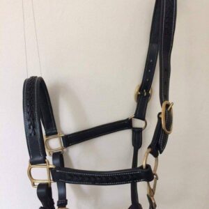 Leather Halters (07)
