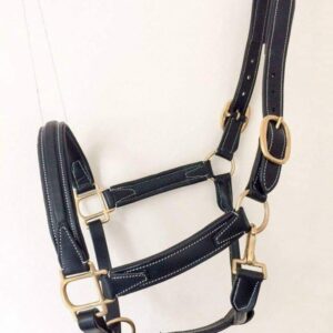 Leather Halters (05)