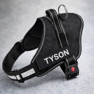 Dog Harness